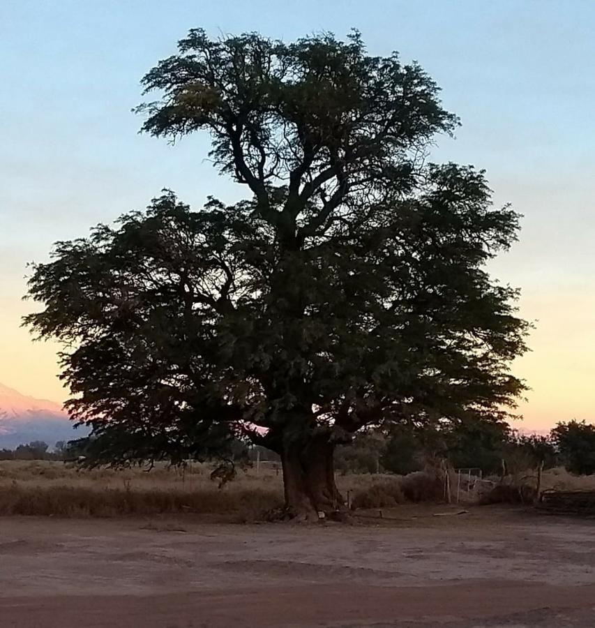 Ojo Del Desierto *