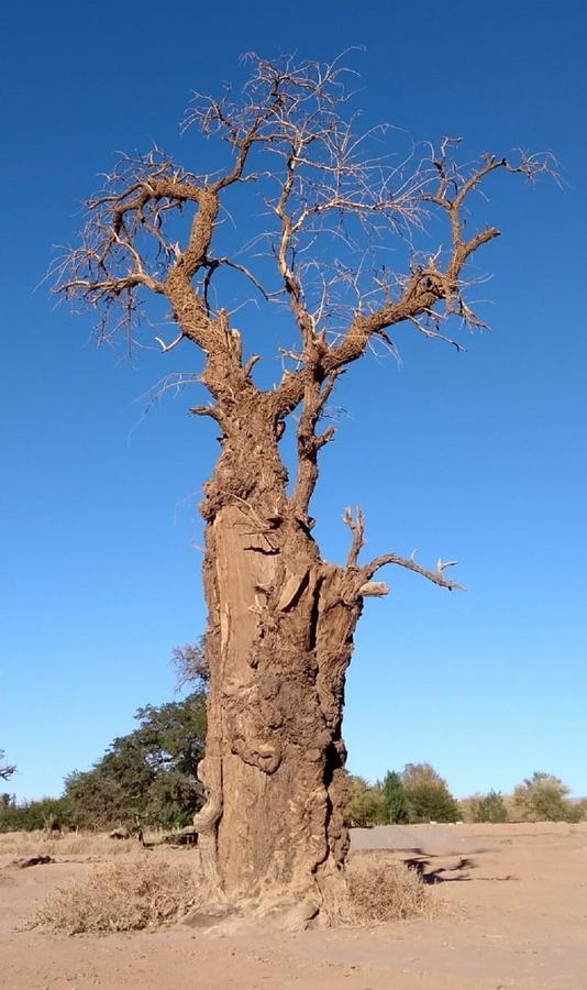 Ojo Del Desierto Chácara