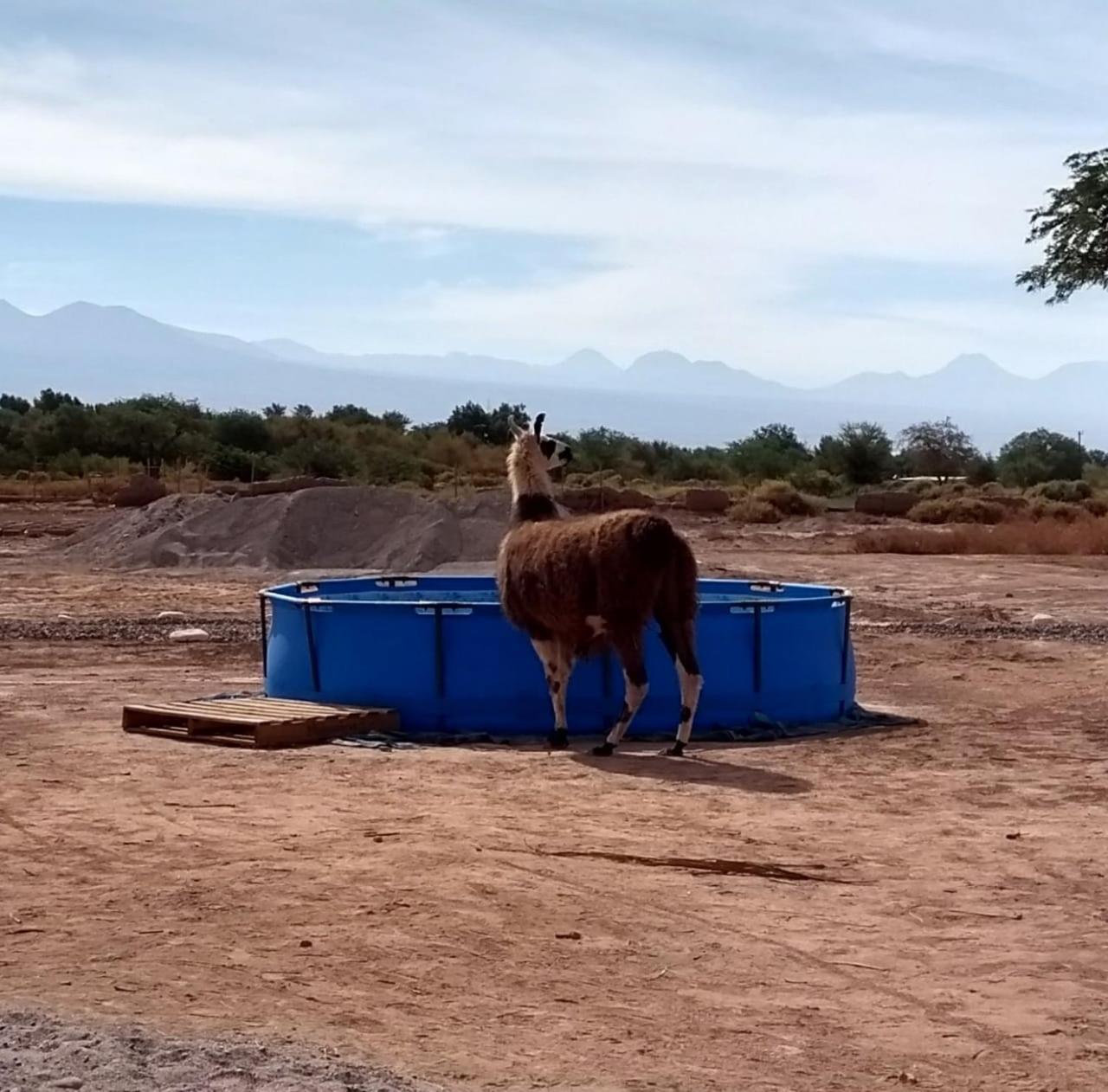 Chácara Ojo Del Desierto *